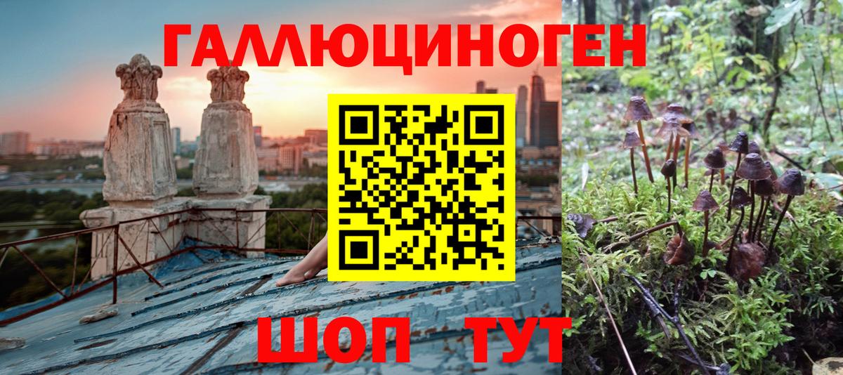 Галлюциногенные грибы мицелий Воркута