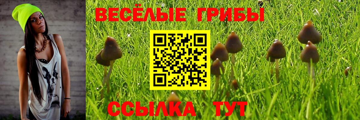 Псилоцибиновые грибы ЛСД  Вход с VPN  Воркута  Галлюциногенные грибы GOLDEN TEACHER 